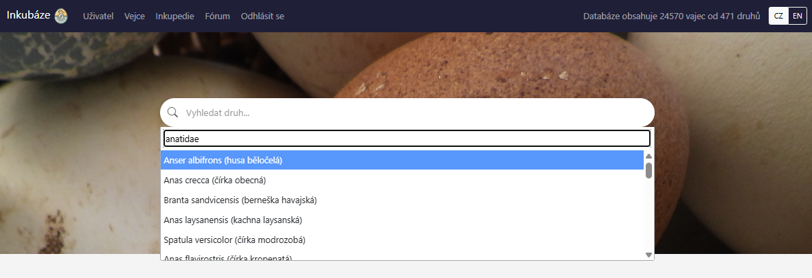 Vyhledávání druhu na úvodní stránce